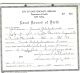 Stella Beldzikowski Birth Certificate